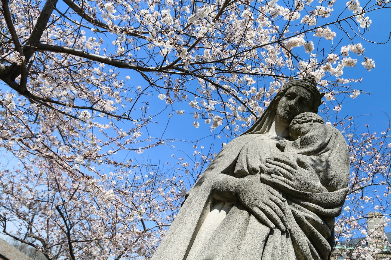 Regina Caeli Regina Caeli