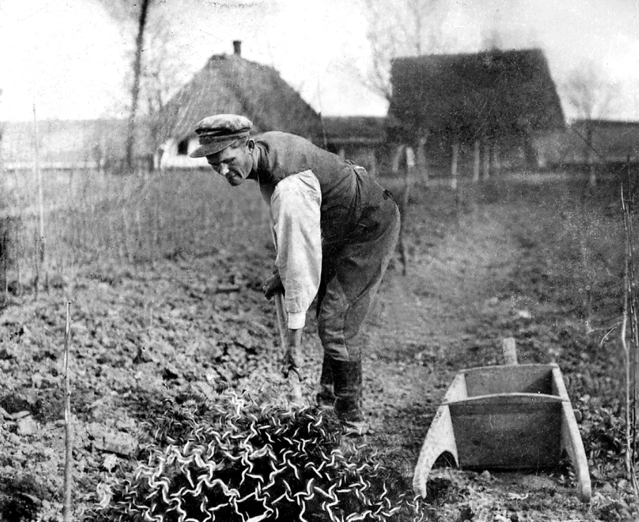 Foto's genomen door de zalige Jozef Ulma Foto's genomen door de zalige Jozef Ulma