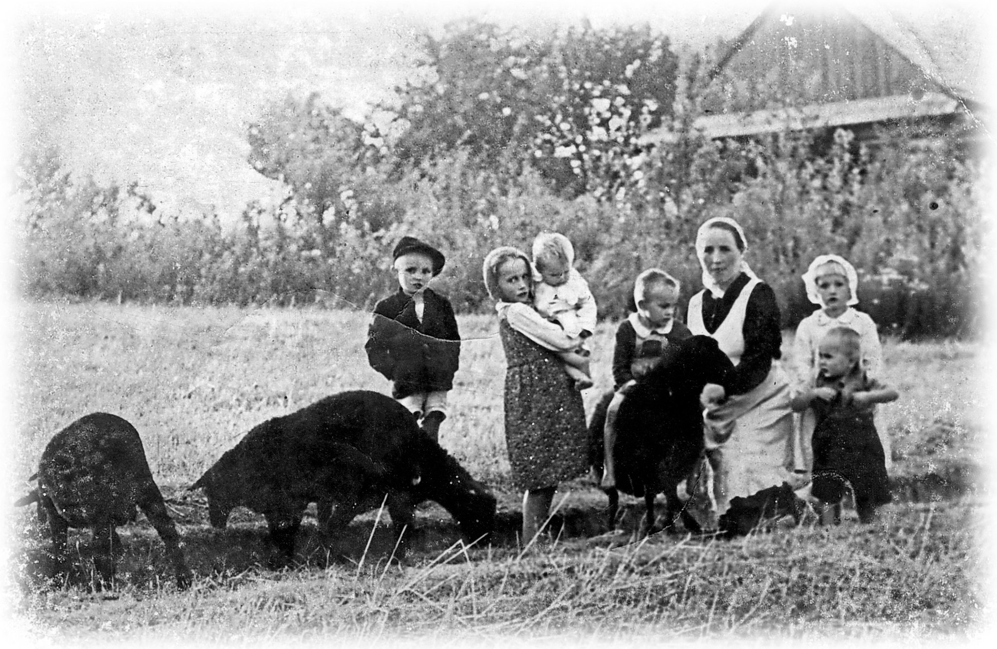 Foto's genomen door de zalige Jozef Ulma Foto's genomen door de zalige Jozef Ulma
