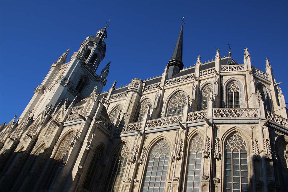 Sint-Martinusbasiliek van Halle Sint-Martinusbasiliek van Halle