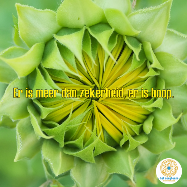 Quote januari 2025