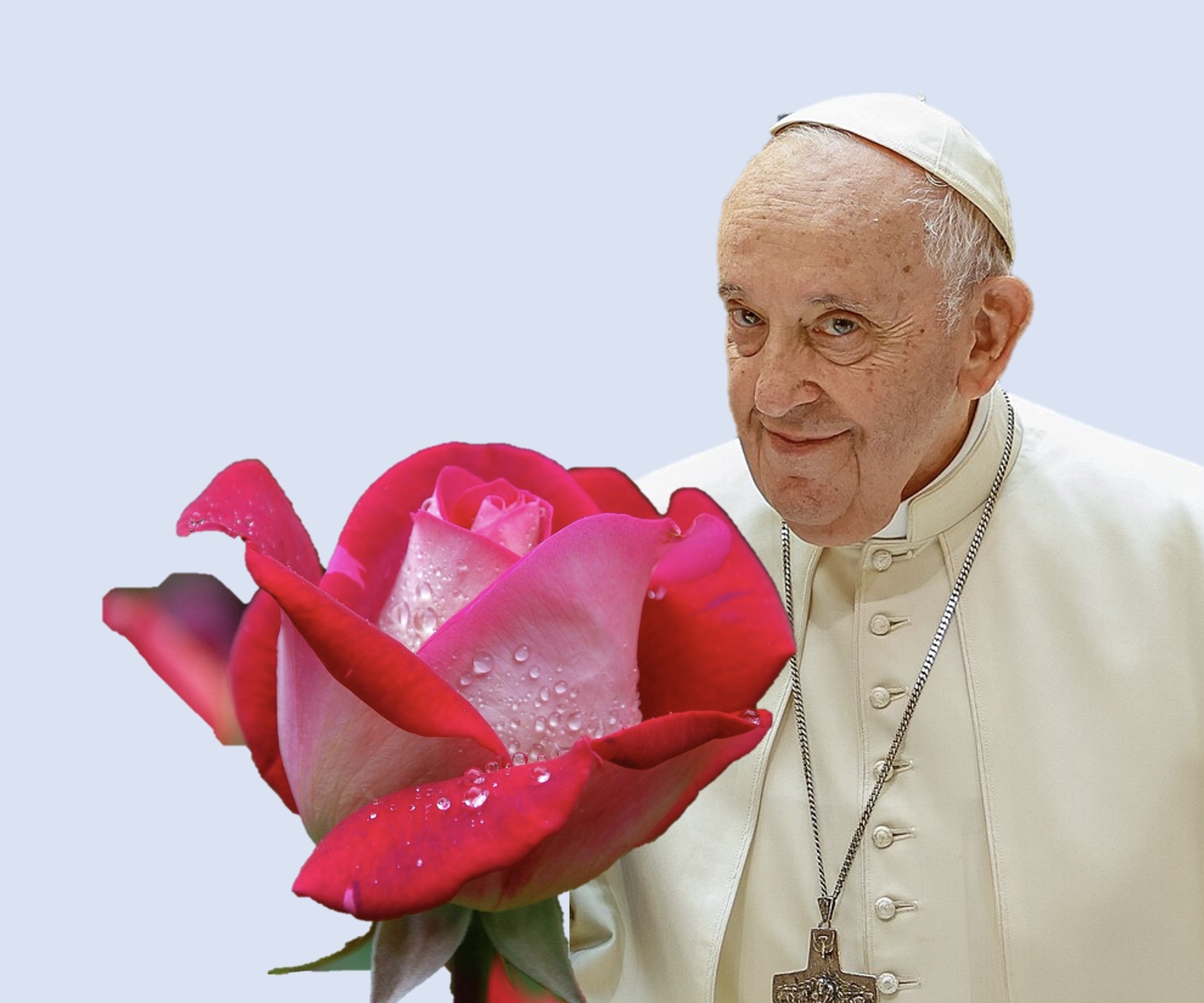 Paus Franciscus met roos