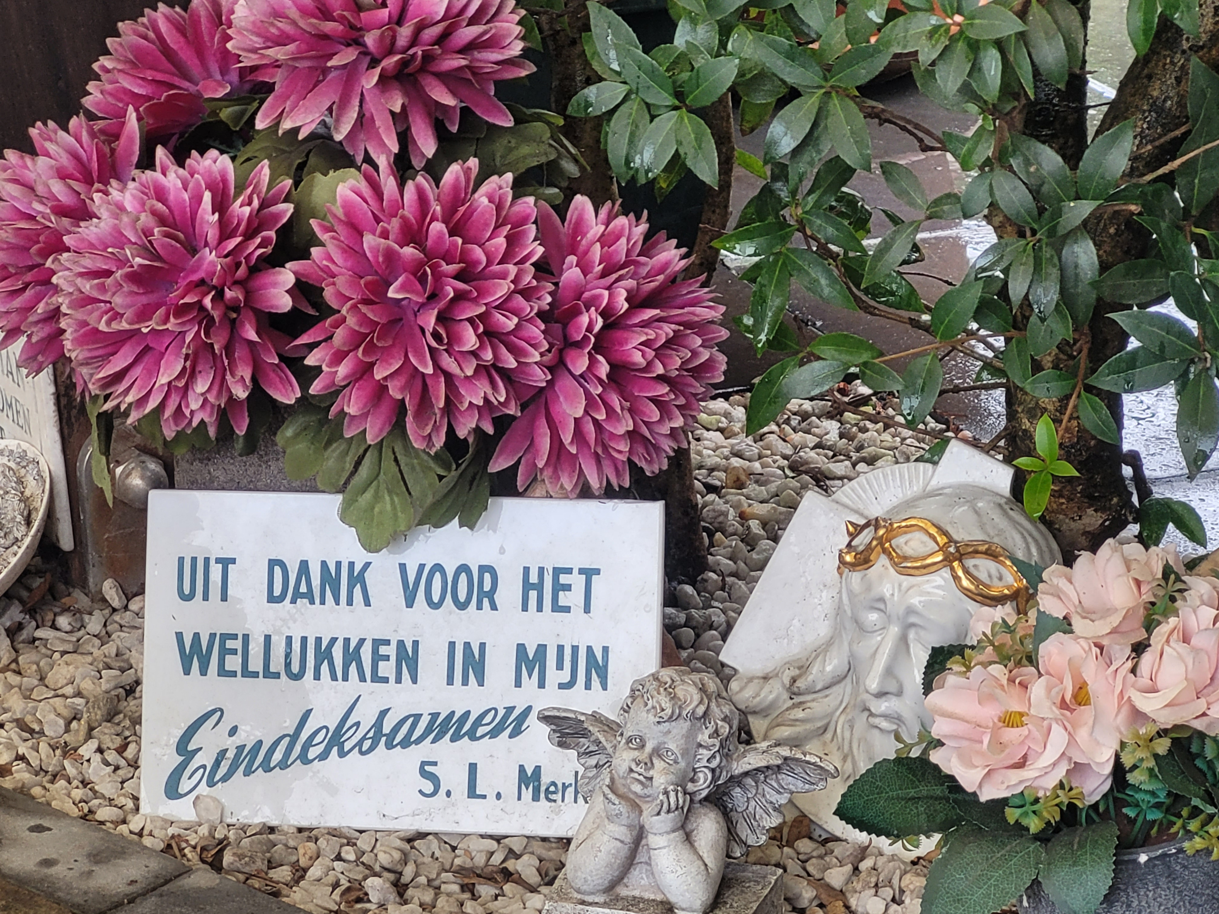 Bedankt voor steun bij examens Bedankt voor steun bij examens