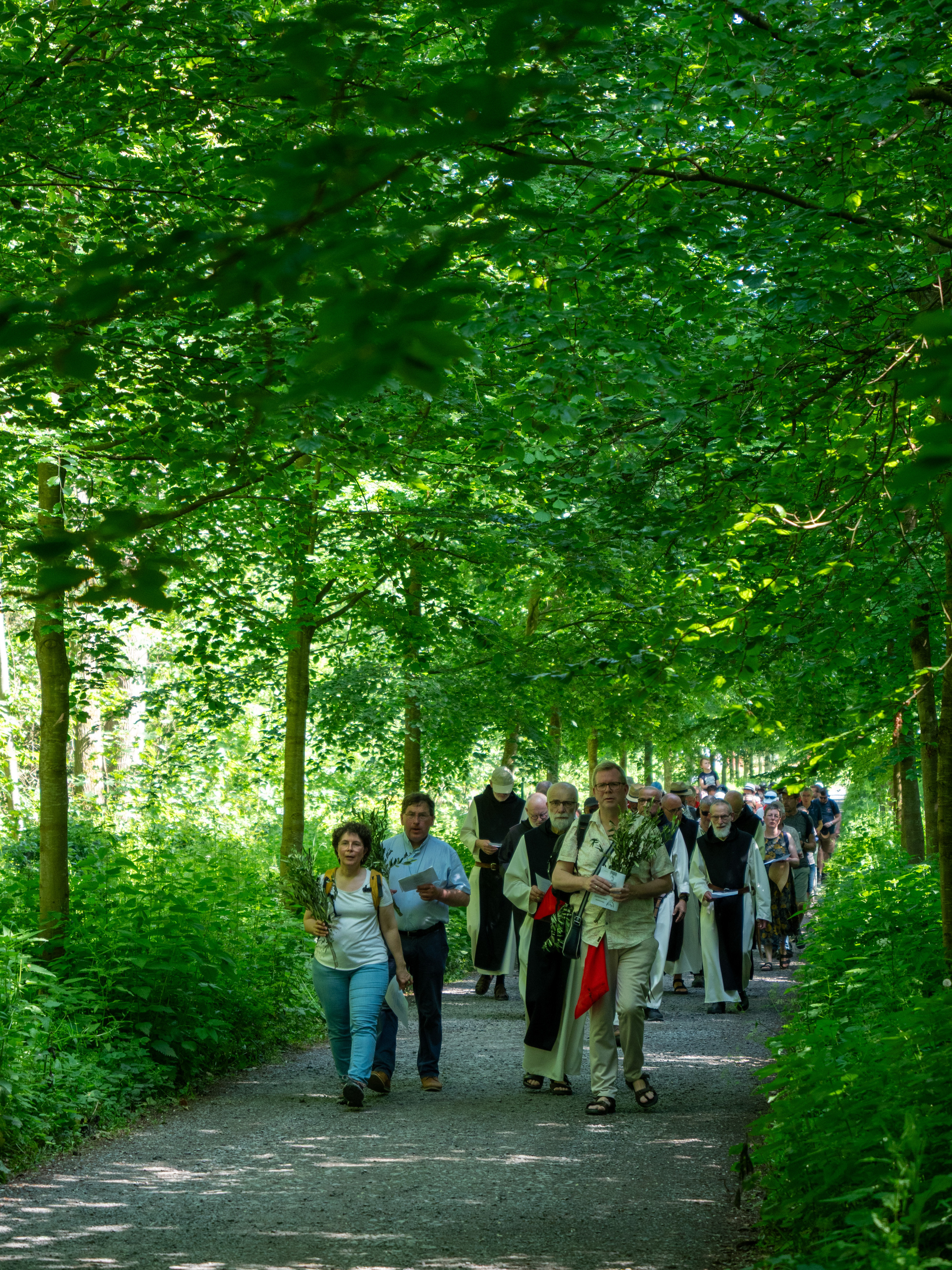 Processie naar de grot