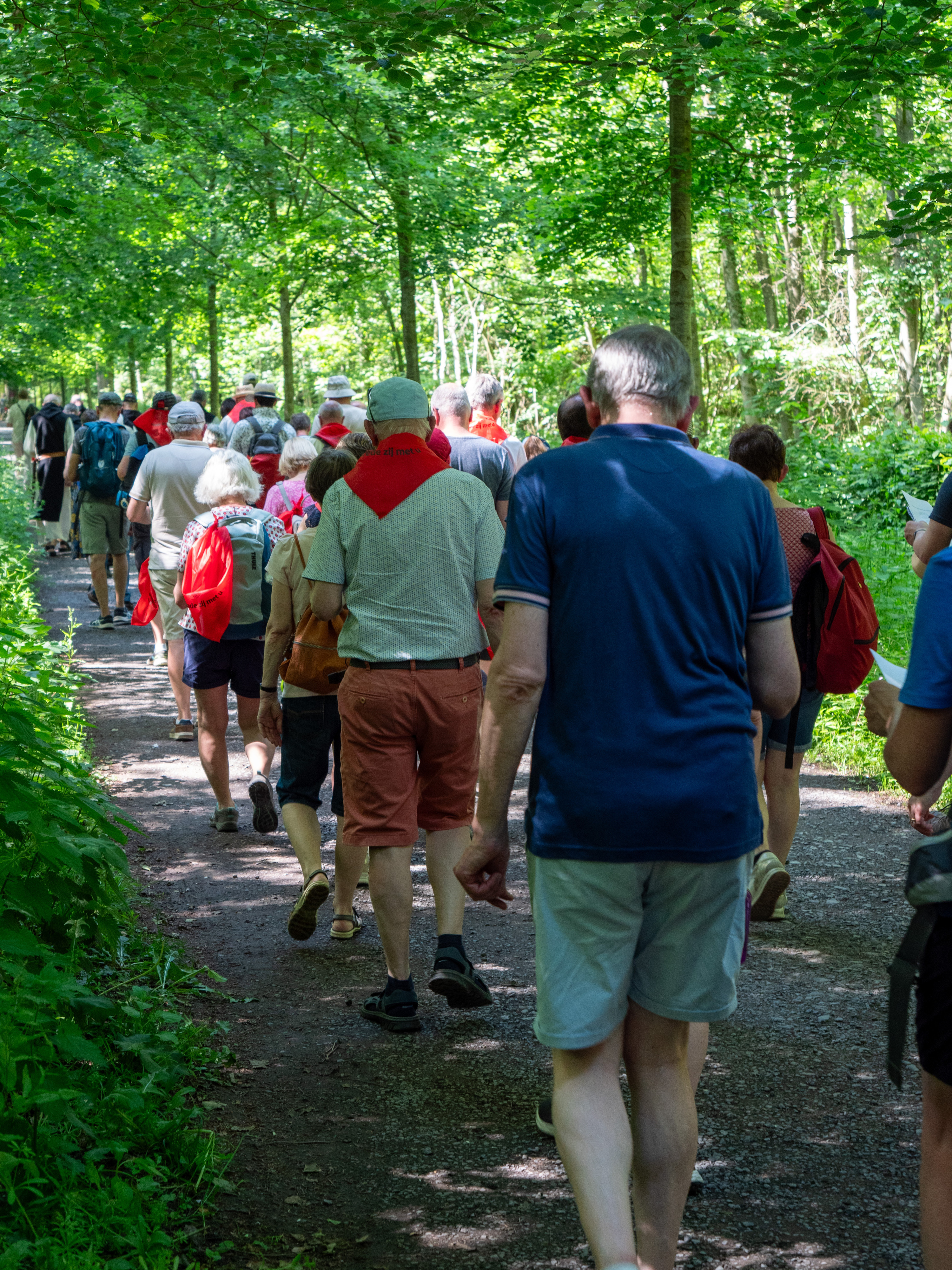 Processie naar de grot