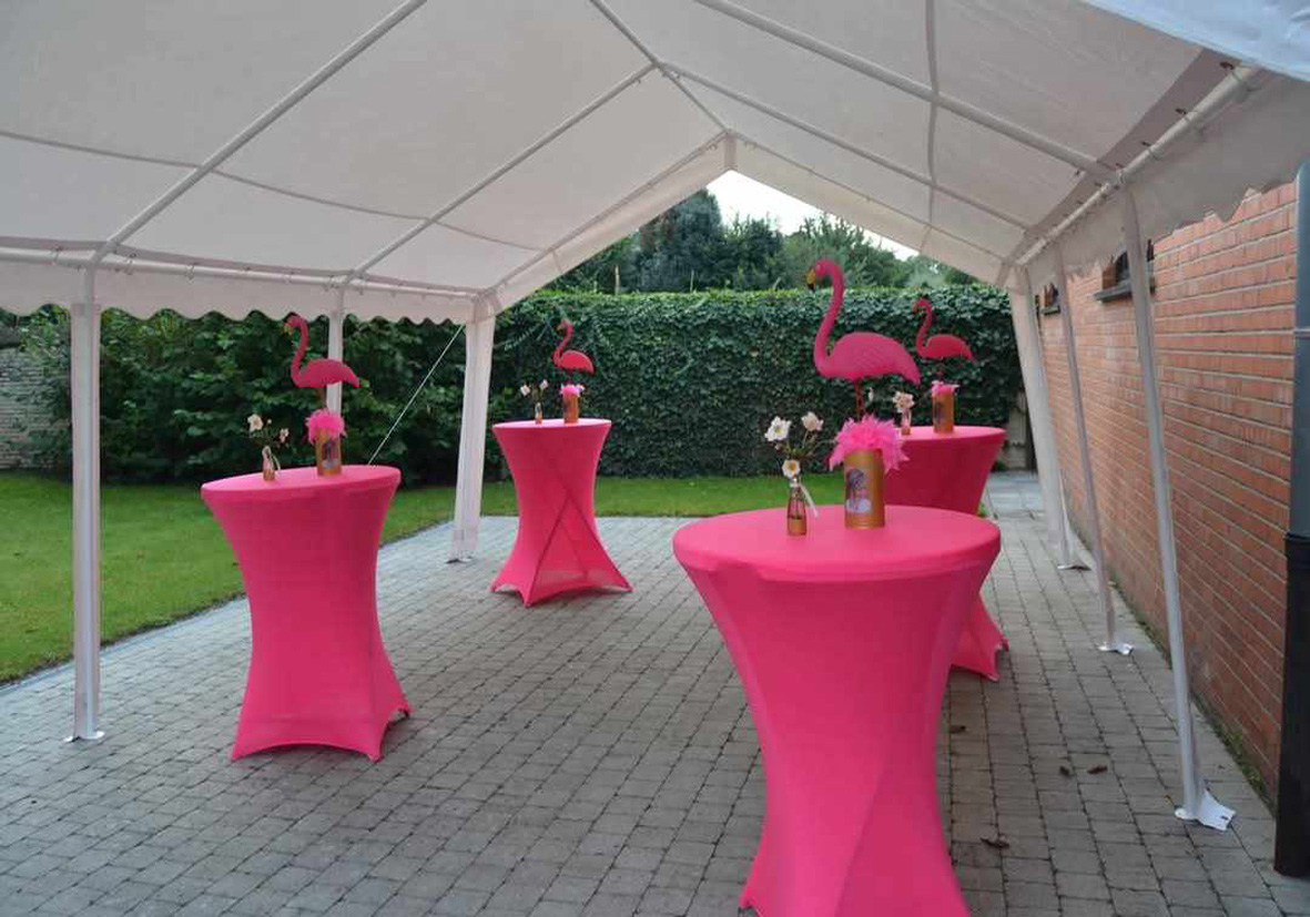 Terras