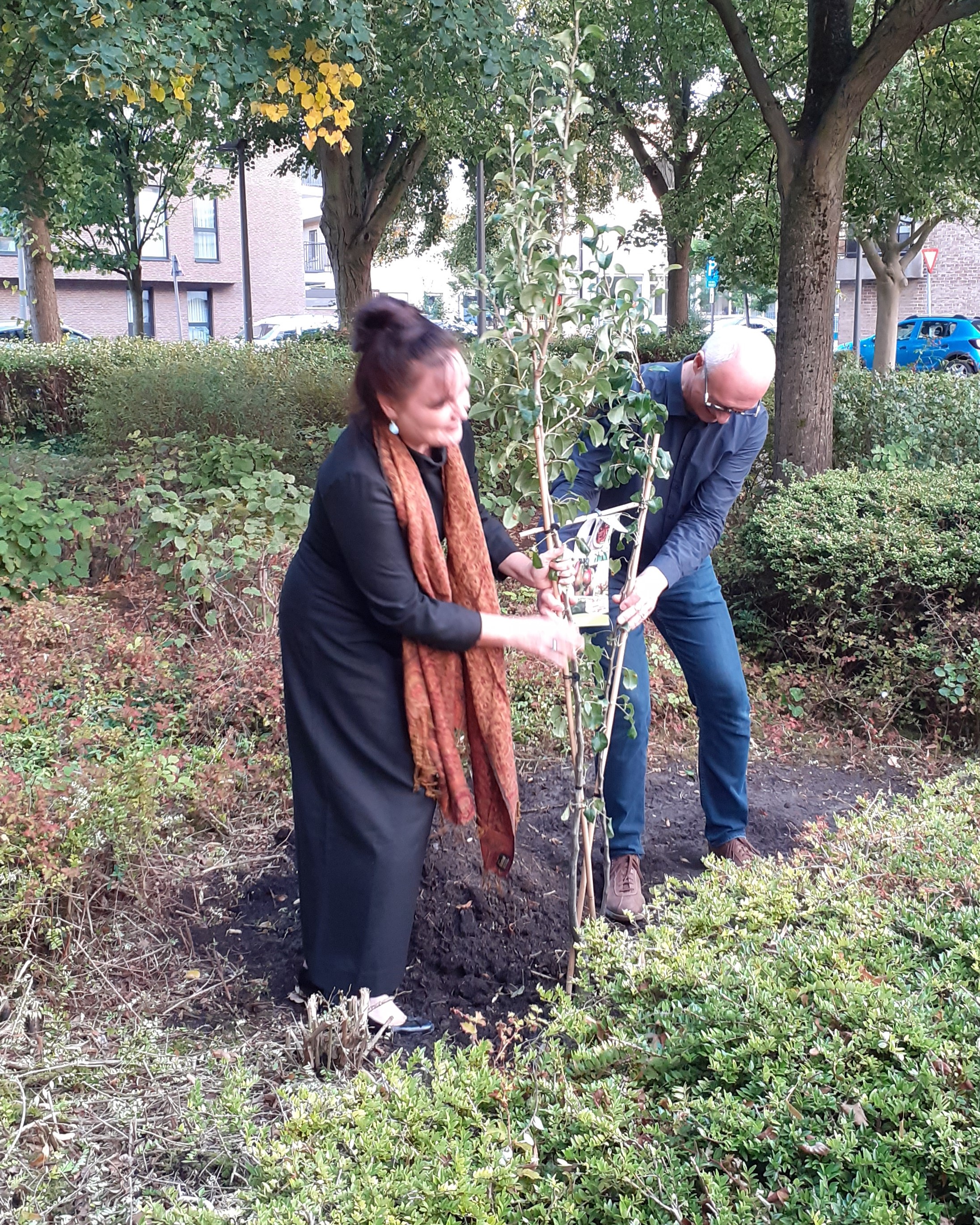 Een nieuwe Laudato Si boom wordt geplant