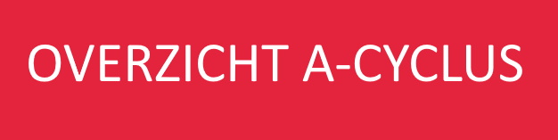 Overzicht A-cyclus 