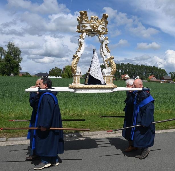 Hemelvaart van de Heer Een traditionele Mariaprocessie of ommegang in Vlaanderen waarbij een Mariabeeld op een draagbaar baldakijn of platform door dragers wordt rondgedragen.