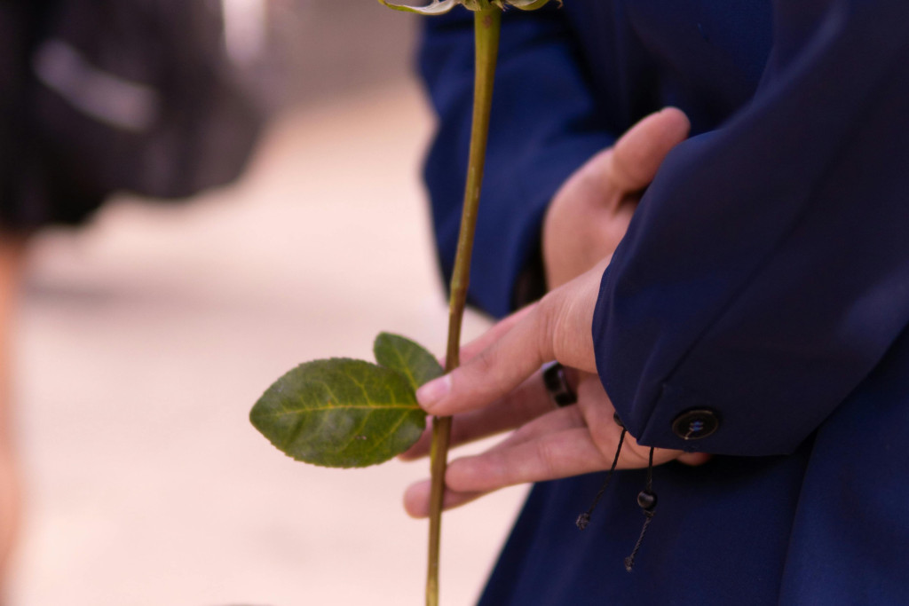 vrouw houdt roos achter de rug. We zien enkel de handen met de bloem op de rug