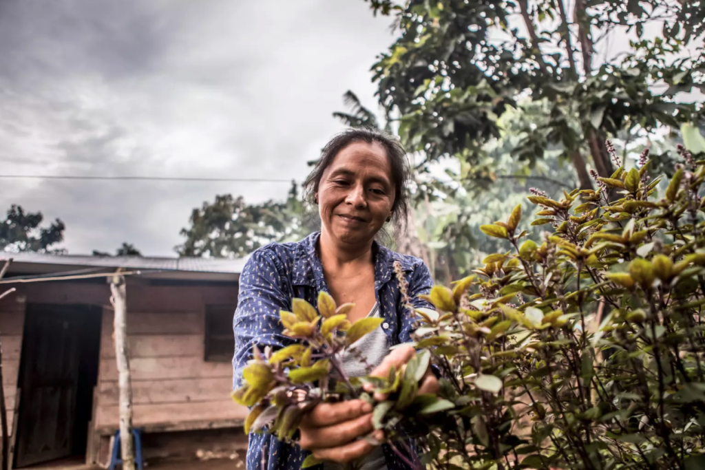 Broederlijk Delen hekelde dit jaar het gebruik van gevaarlijke pesticiden. Broederlijk Delen hekelde dit jaar het gebruik van gevaarlijke pesticiden.