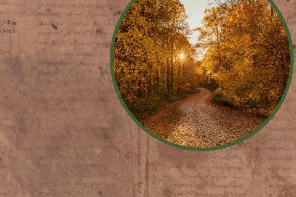 handschrift met beeld in bos
