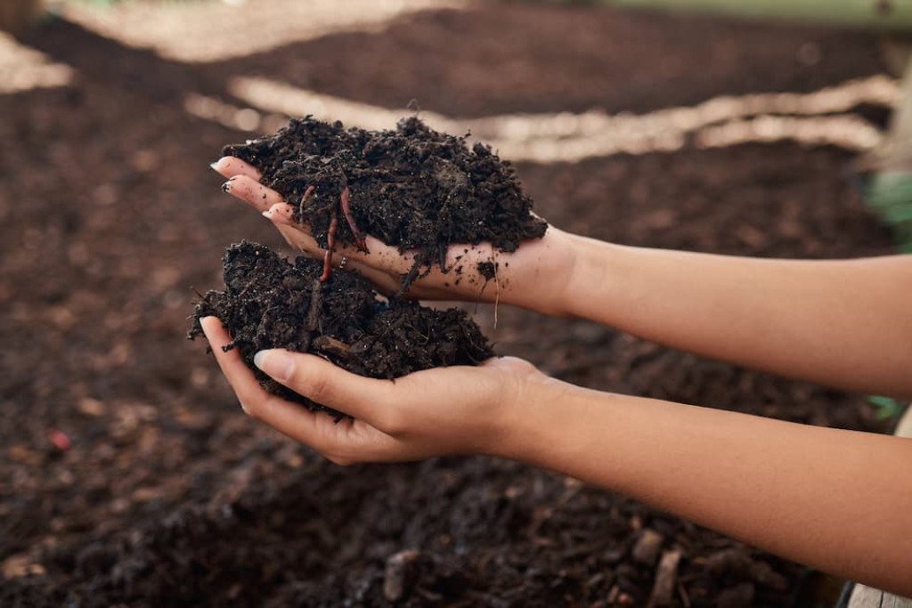 In een compostvat zie je het gebeuren: vormen vergaan en worden vruchtbaarheid In een compostvat zie je het gebeuren: vormen vergaan en worden vruchtbaarheid