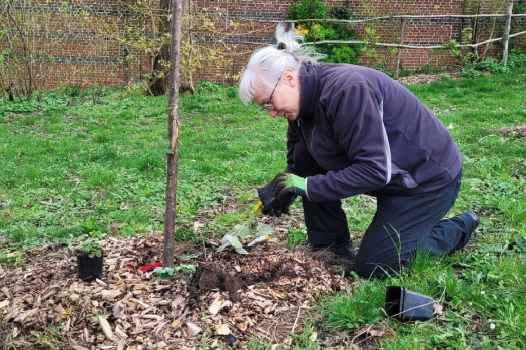 Zuster Rozemie plant een boompje in het Voedselbos van de annuntiaten in Heverlee.