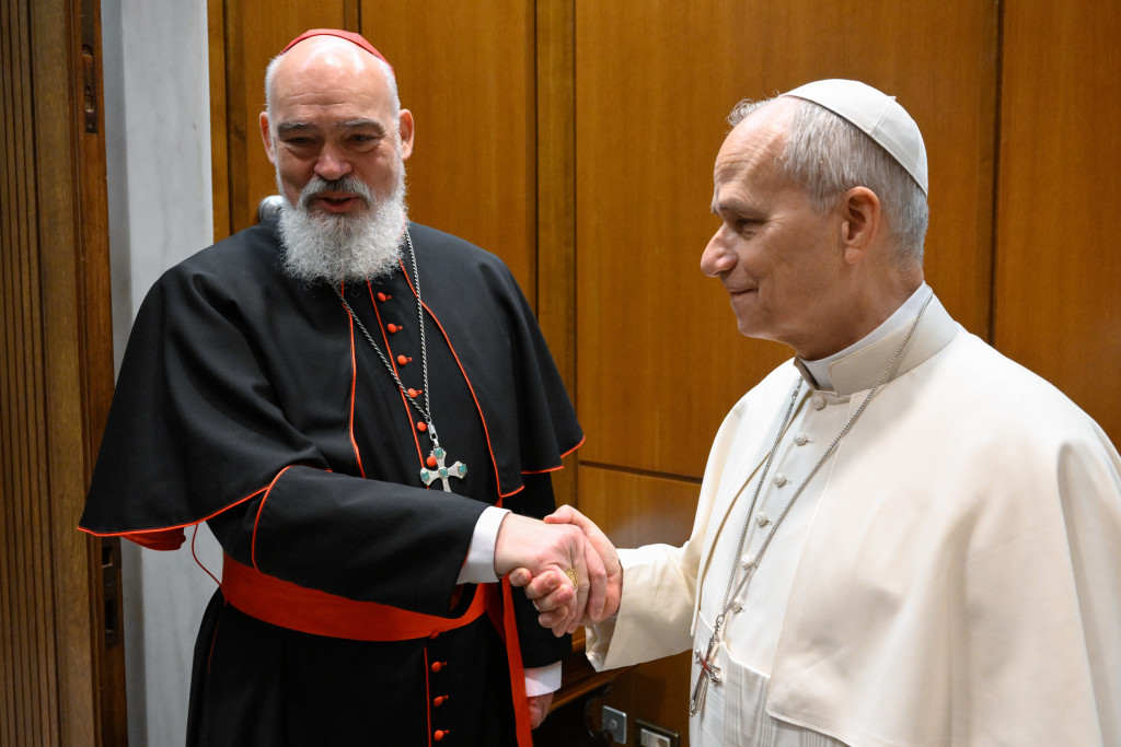 Kardinaal Mathieu werd intussen ontvangen door paus Leo XIV.