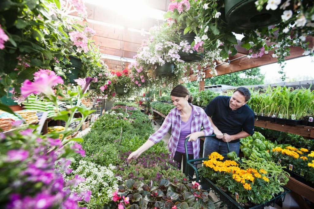 Tussen bloeiende tafels lijkt alles mogelijk – maar wie zonder plan het tuincentrum binnenstapt, neemt vaak meer mee dan de tuin aankan Tussen bloeiende tafels lijkt alles mogelijk – maar wie zonder plan het tuincentrum binnenstapt, neemt vaak meer mee dan de tuin aankan
