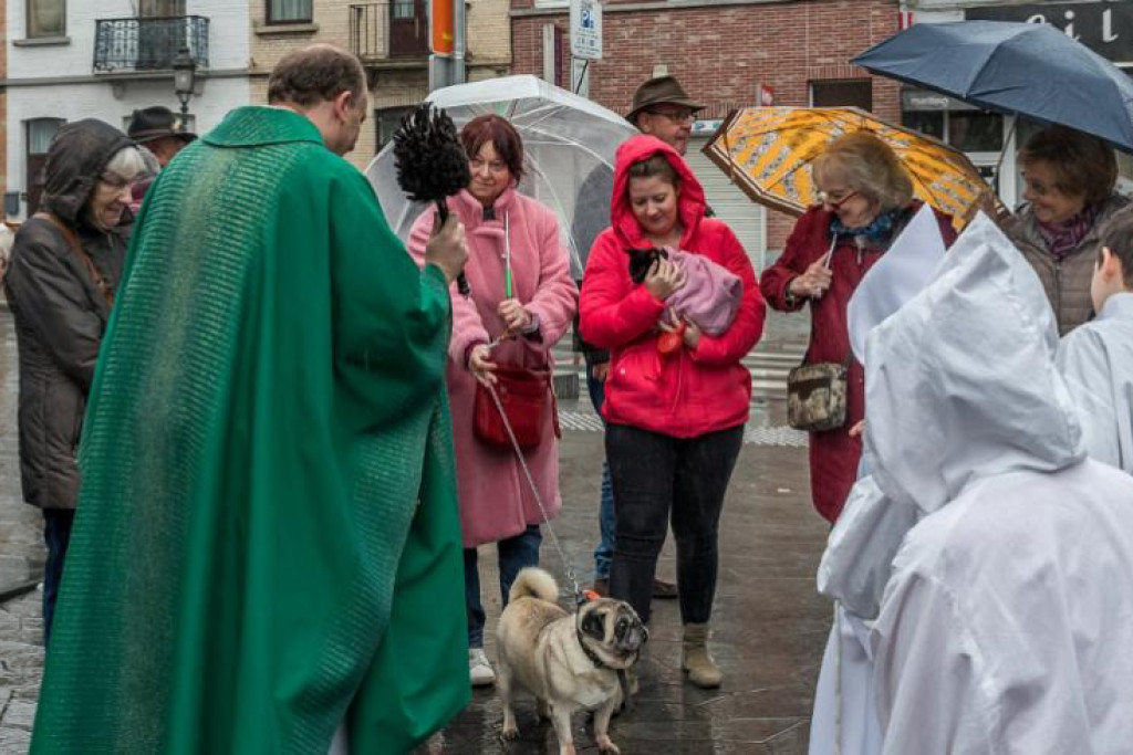 zondag 8 november 2026 om 10u: Sint - Hubertusviering met dierenzegening