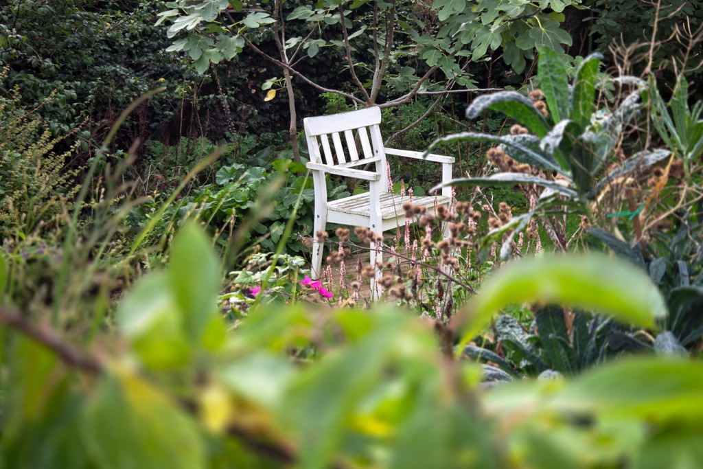 Vanuit een ander standpunt werkt het beter: het onscherpe groen op de voorgrond vormt een kader rond de tuinstoel verderop. Dat geeft diepte en leidt je blik naar de stoel. Hier wil je wel even verpozen. Vanuit een ander standpunt werkt het beter: het onscherpe groen op de voorgrond vormt een kader rond de tuinstoel verderop. Dat geeft diepte en leidt je blik naar de stoel. Hier wil je wel even verpozen.