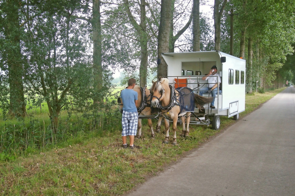 De trektocht met een woonwagen getrokken door fjordenpaarden is een hoogtepunt in Kodiels werking. © Hedwig Dom