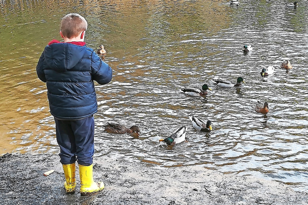 De groene omgeving helpt de kinderen en jongeren tot rust te komen. © De Wereld van Indra vzw