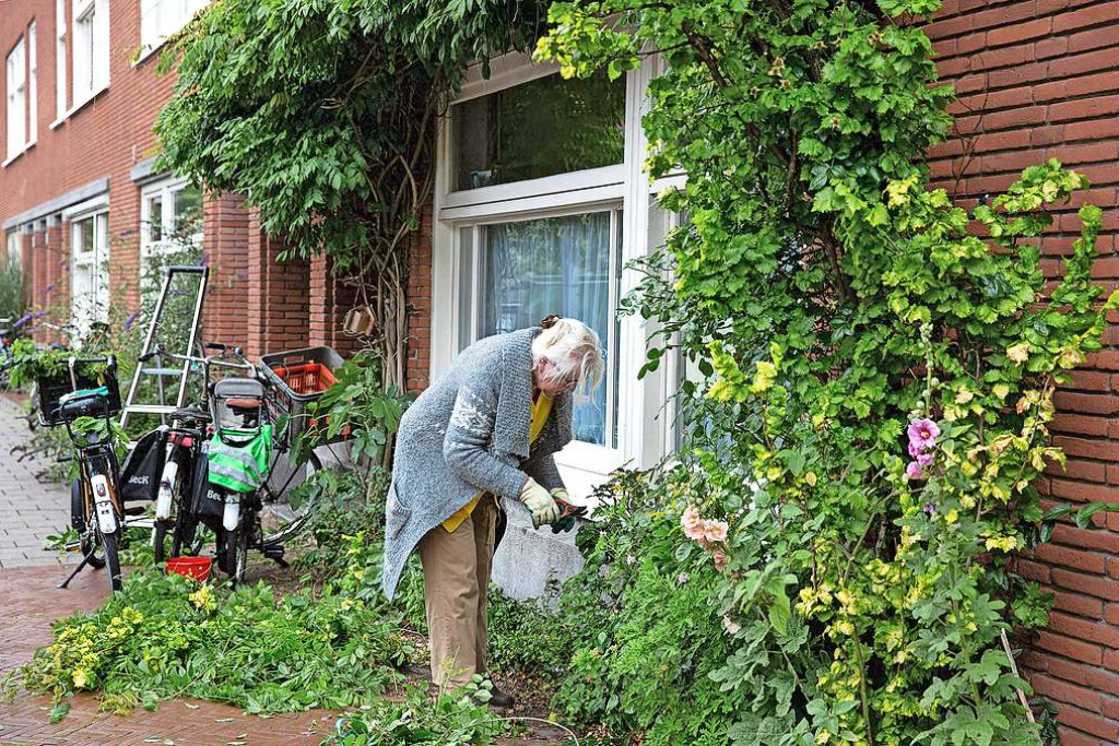 Een geveltuin brengt groen en rust in de bruisende en gejaagde stadsomgeving. © Anke Teunissen