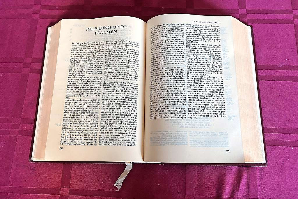 Het boek Psalmen bevindt zich in de Bijbel tussen de zogenoemde wijsheidsboeken. © Filip Ceulemans