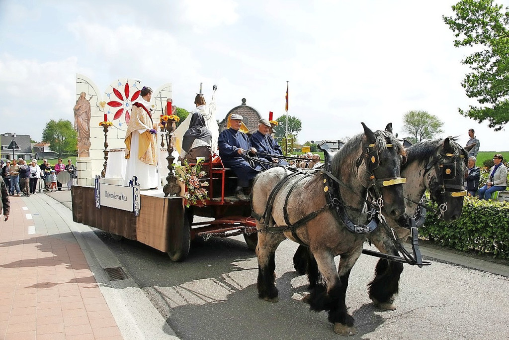 Boerenpaarden trekken de praalwagens. © Sint-Servaascomité
