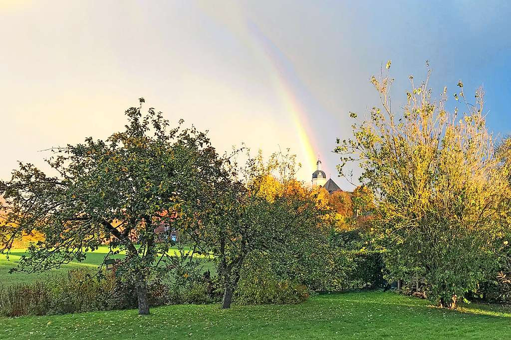 In de abdij van Vlierbeek geeft Ecokerk Vlierbeek op een duurzame manier kleur aan de leefomgeving. © Jo T’Jampens