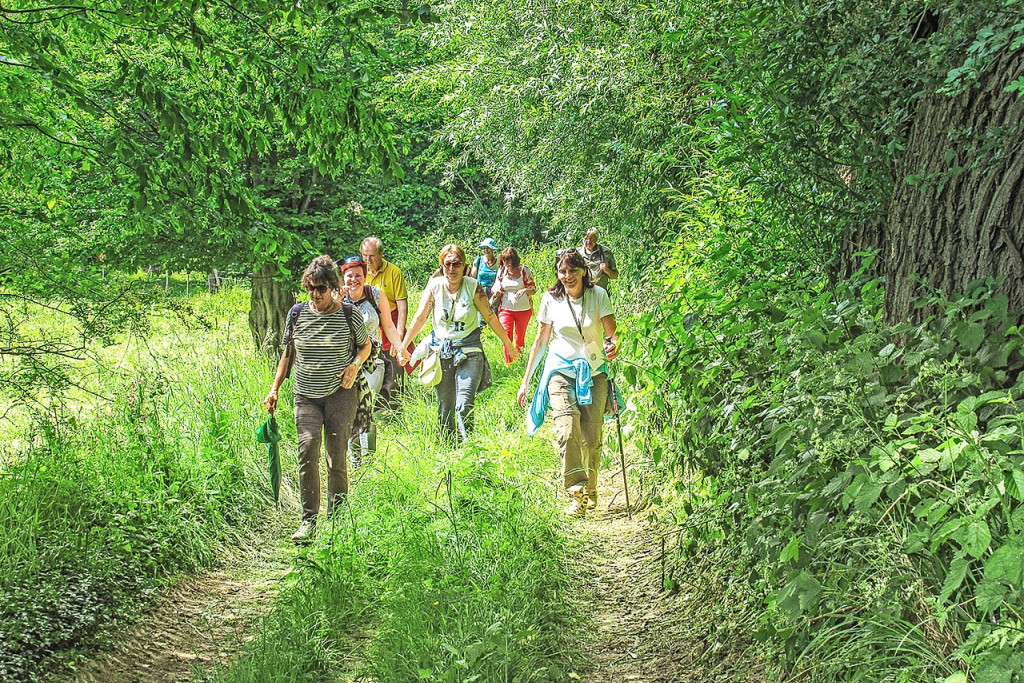 Een wandeling in de natuur is goed voor lichaam en geest. © Mattias Furniere