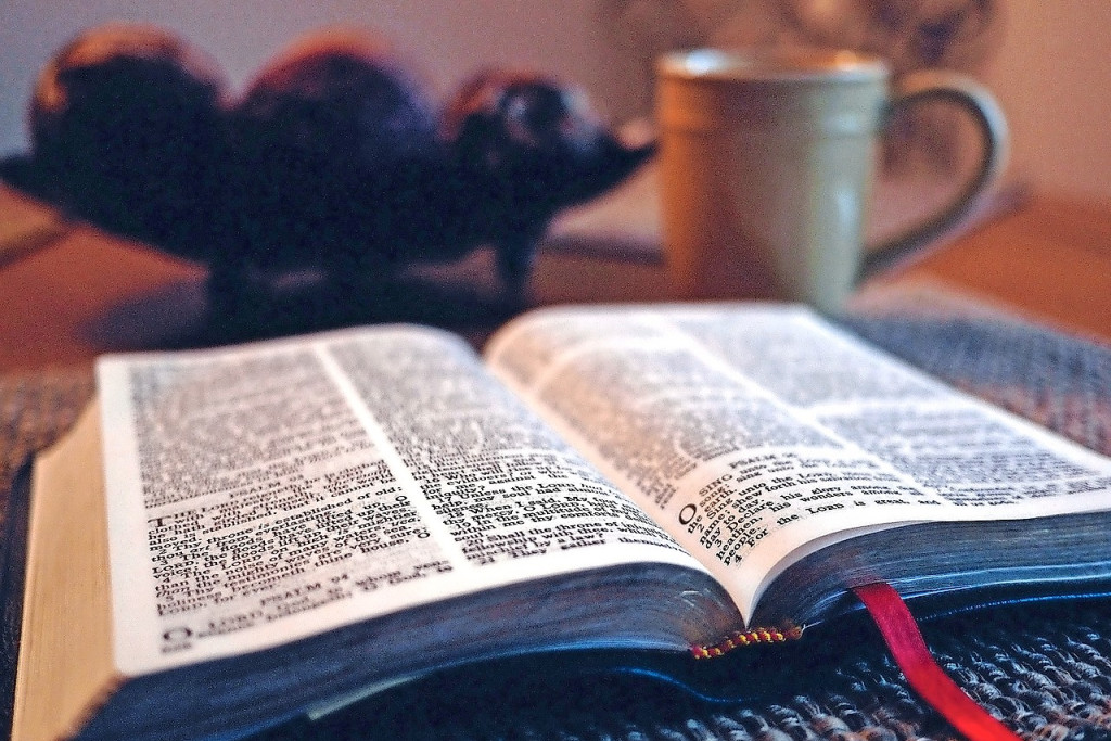 Dankzij hun grote verscheidenheid in inhoud en genre kan iedereen vertrouwd raken met de Psalmen. © Pixabay.com