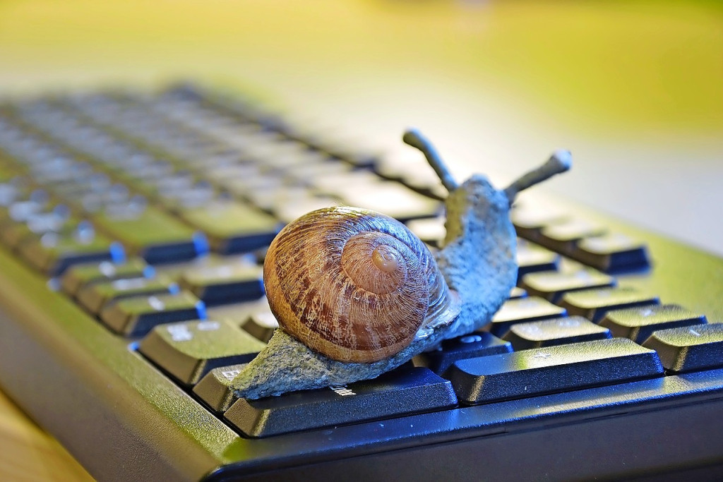 Zich verwonderen vereist tijd. Net die ontbreekt vaak in een digitale wereld. © Pixabay