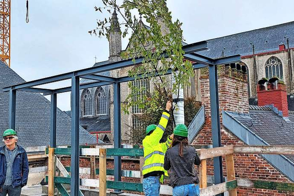 De meiboom wordt geplaatst wanneer het hoogste punt is bereikt. © Pascal Veeckman