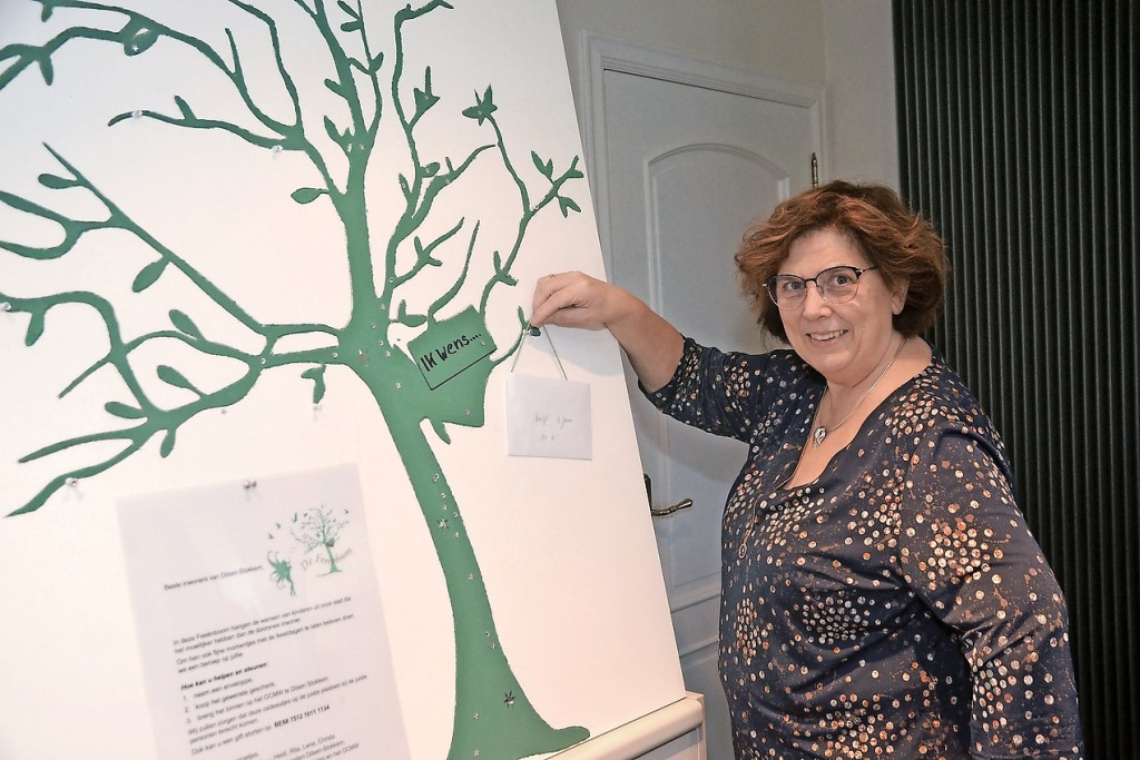 Rita Hilven hoopt dat de feeënboom een begrip mag worden in Vlaanderen. © Tony Dupont