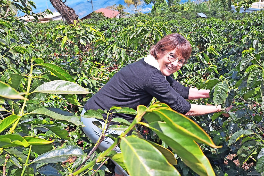Rita Bijnens helpt lokale boeren bij het plukken van koffiebessen. © ngo Trias