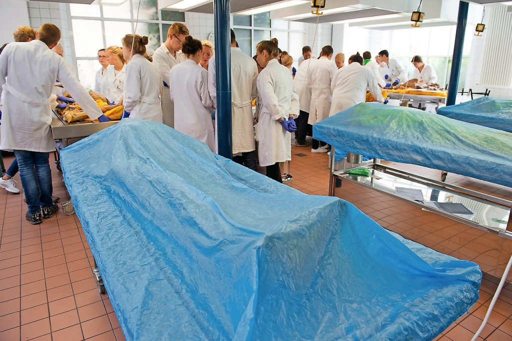 Lichamen blijven belangrijk voor het onderwijs, hier in de opleiding van chirurgen. © Belga Image