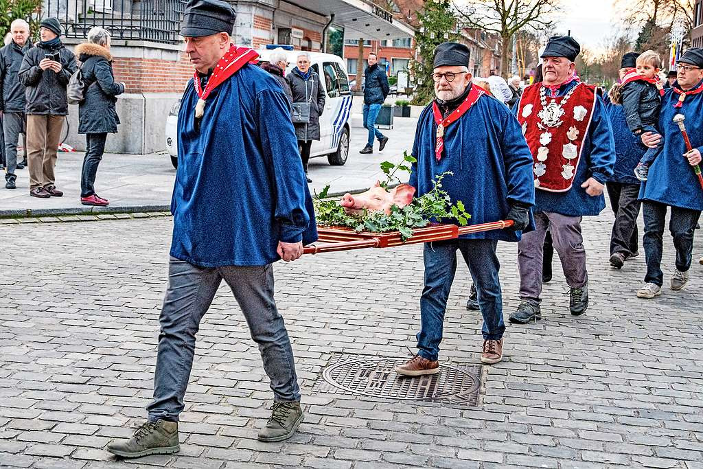 Dit jaar krijgt de Sint-Antoniusprocessie een coronaveilige variant. © Erfgoed Edegem/Pierre Hens