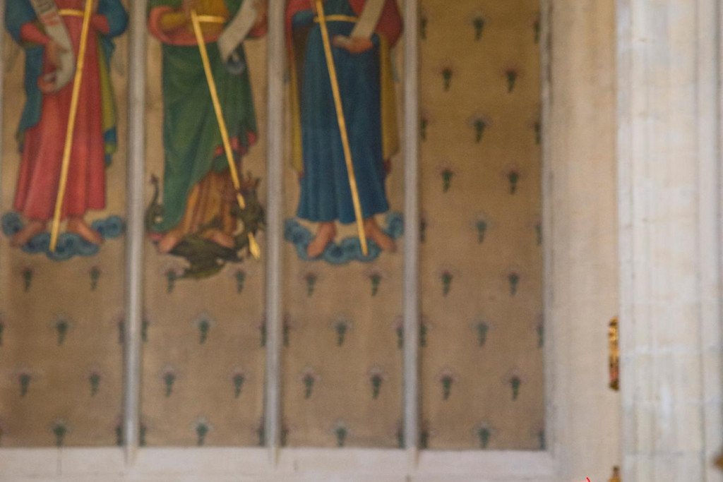 Kardinaal Jozef De Kesel, in zijn homilie tijdens de Lichtmisviering in de Leuvense Sint-Pieterskerk