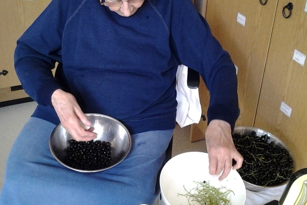 In priorij Klaarland helpen alle 16 zusters mee met de pluk en schoonmaak van het fruit voor de confituur. In priorij Klaarland helpen alle 16 zusters mee met de pluk en schoonmaak van het fruit voor de confituur.