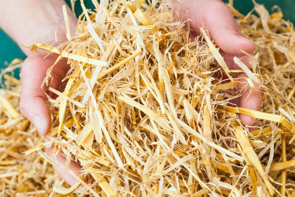 De kribbe klaarmaken voor Kerstmis De kribbe klaarmaken voor Kerstmis