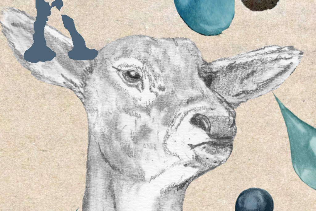 Bijbel van A tot Z: Klaagliederen. 'Zoals een hinde smacht naar water, zo smacht mijn ziel naar U.' 