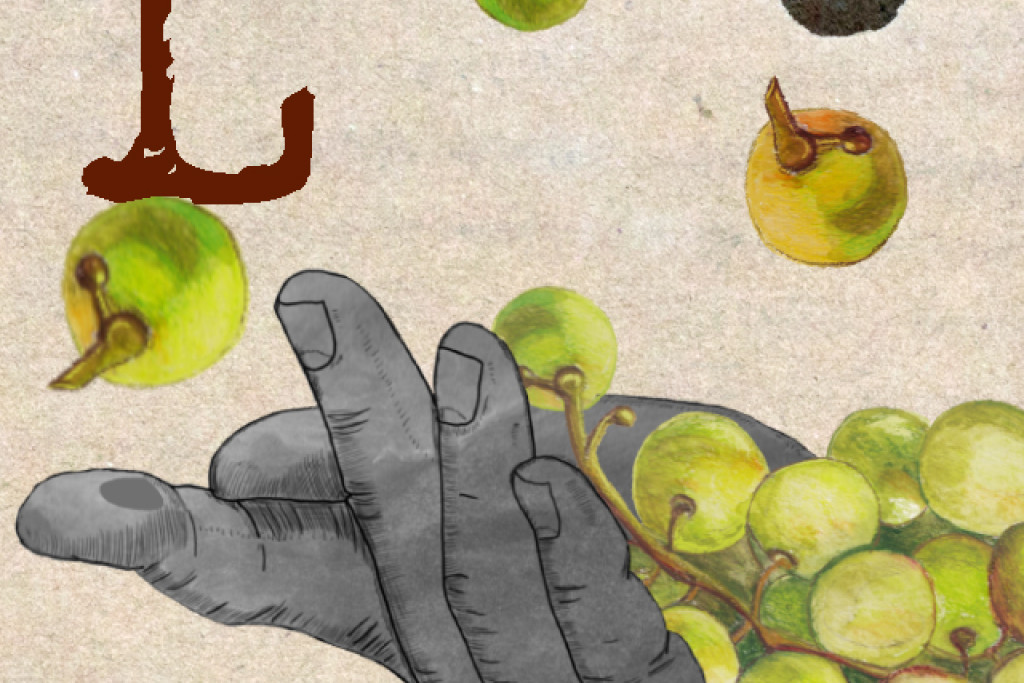 Bijbel van A tot Z: Leviticus. 'Wanneer je oogst, laat dan wat liggen voor armen en vluchtelingen.' (Leviticus 19,9-10)