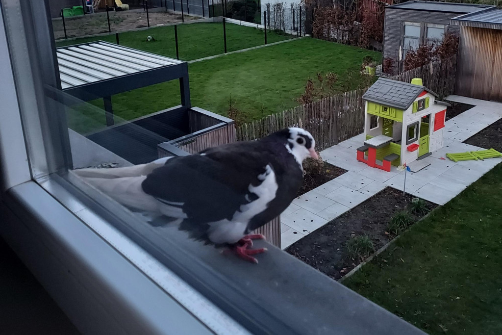 God laat zich niet grijpen om van dan af voor altijd te worden vastgehouden.