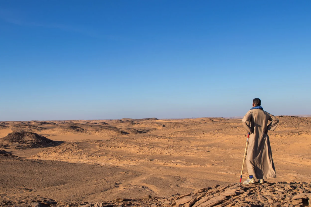 '‘Waren er soms geen graven genoeg in Egypte’, sneren ze tegen Mozes.'