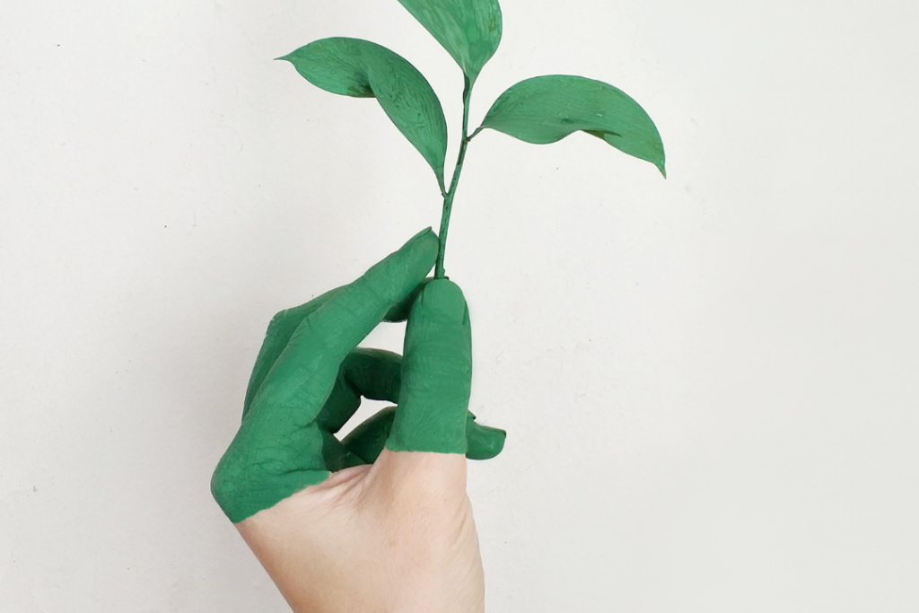 De zomer van Laudato Si'