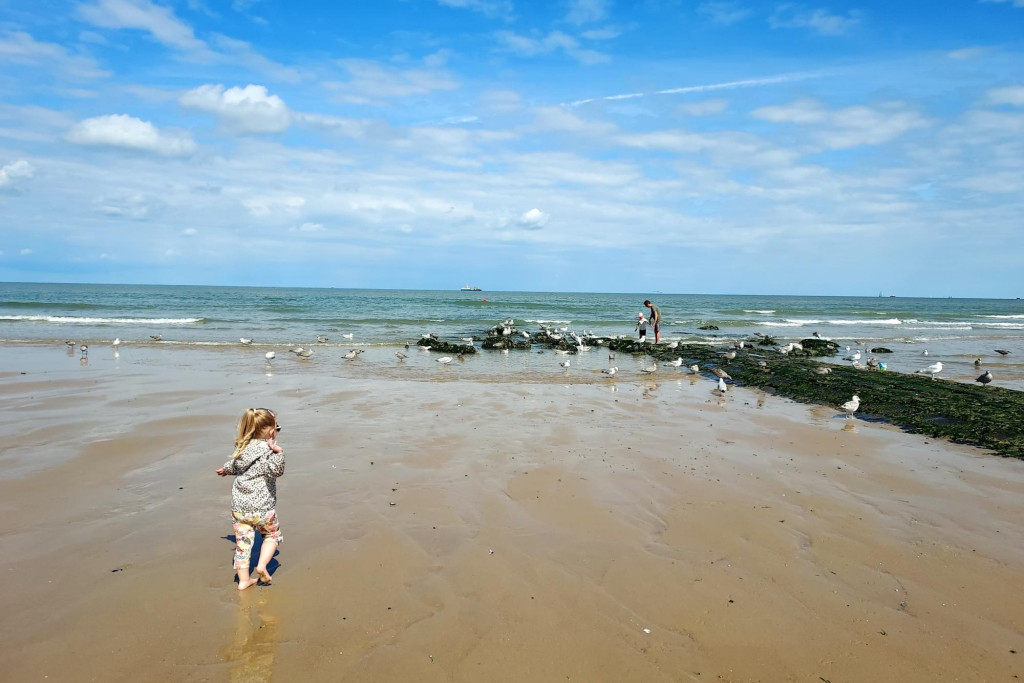 Woordkracht - plant jezelf in de zee