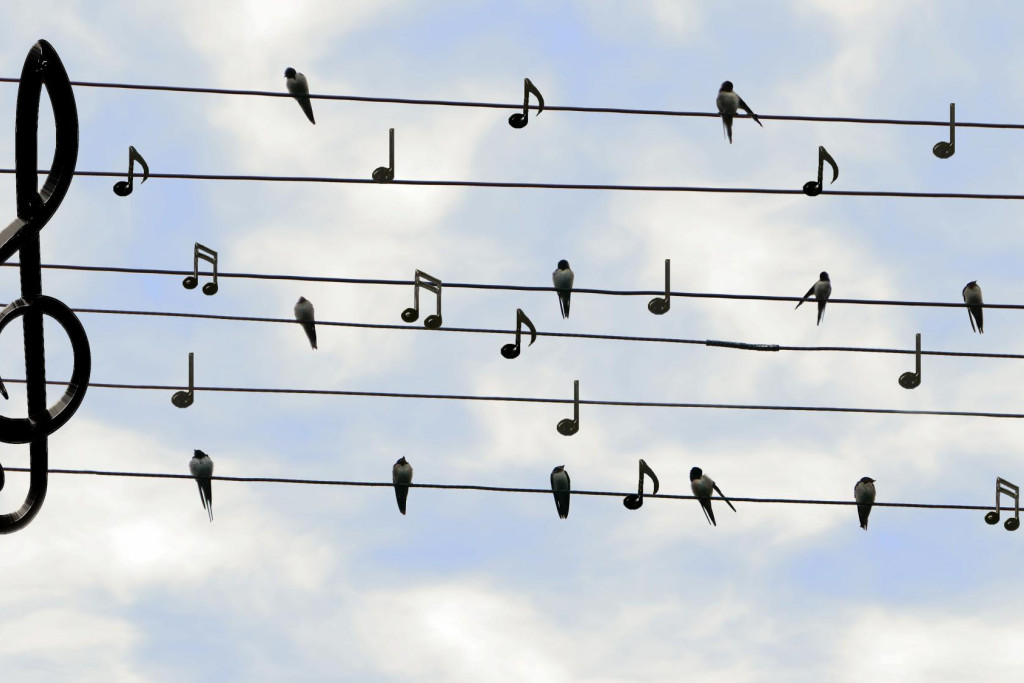 concerten met zin