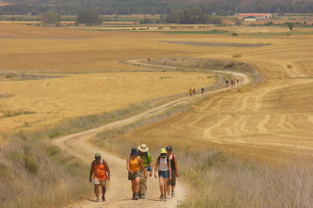 Op weg naar Compostela.