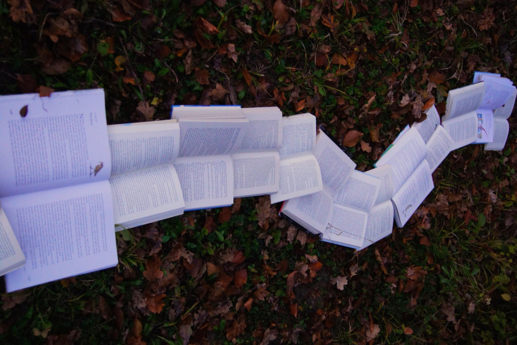 Boeken wijzen de weg.