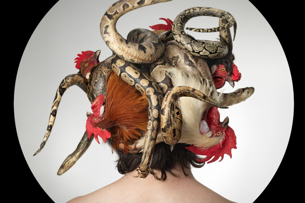 Expo 'The Worth of Life'. Koen Vanmechelen getooid met haar van slangen en kippen.