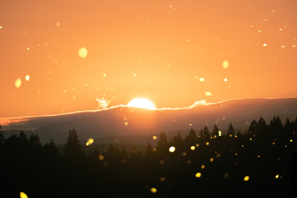 Licht